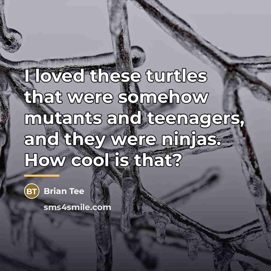 “I loved these turtles that were somehow mutants and teenagers,…” quote by Brian Tee