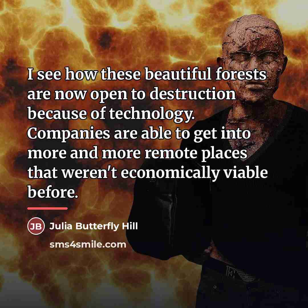 “I see how these beautiful forests are now open to…” quote by Julia Butterfly Hill