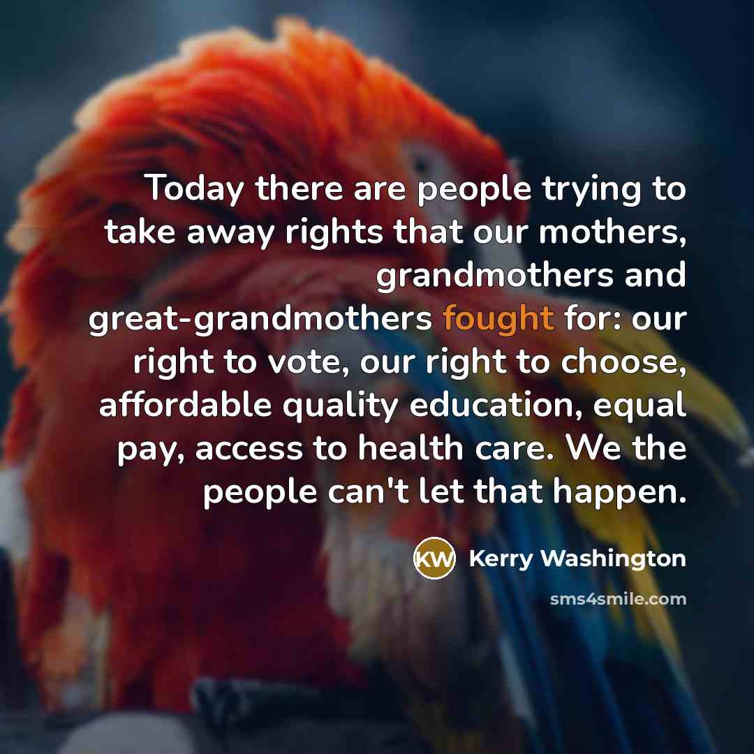 “Today there are people trying to take away rights that…” quote by Kerry Washington