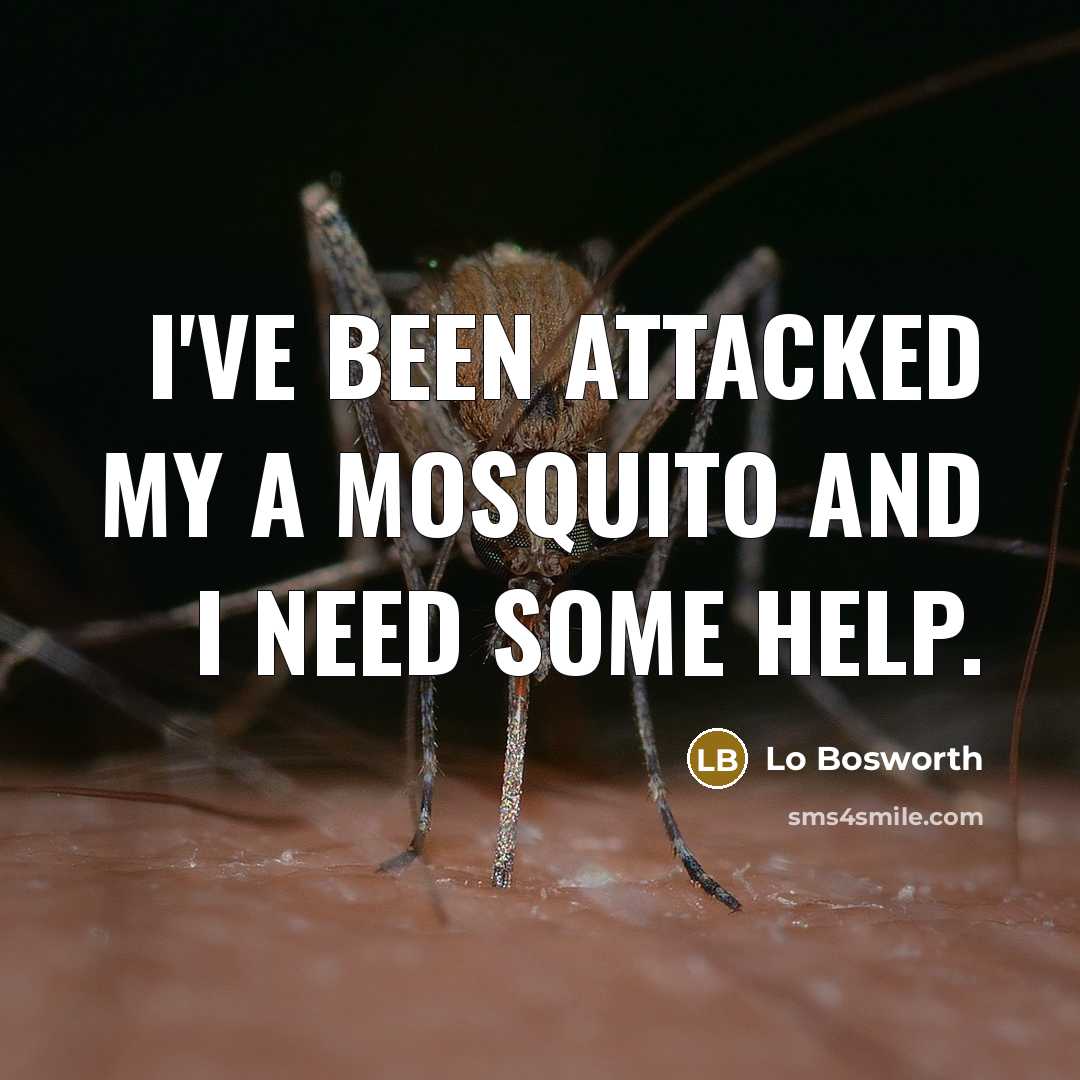 “I've been attacked my a mosquito and I need some…” quote by Lo Bosworth