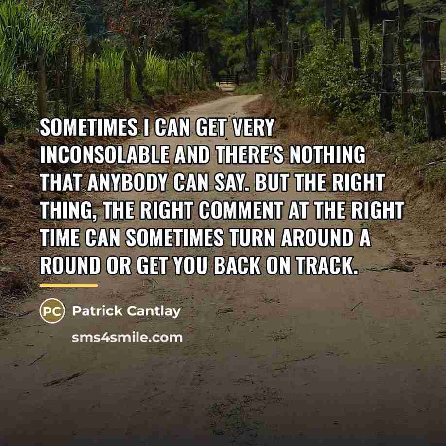 “Sometimes I can get very inconsolable and there's nothing that…” quote by Patrick Cantlay