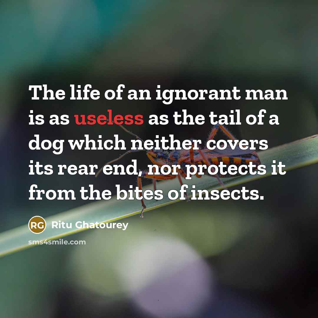 “The life of an ignorant man is as useless as…” quote by Ritu Ghatourey