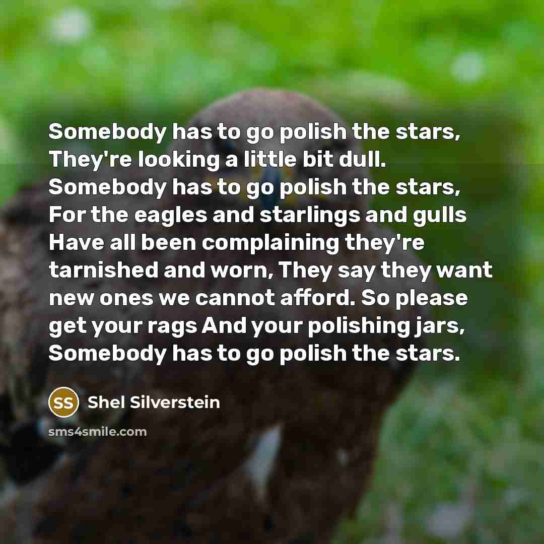 “Somebody has to go polish the stars, They're looking a…” quote by Shel Silverstein
