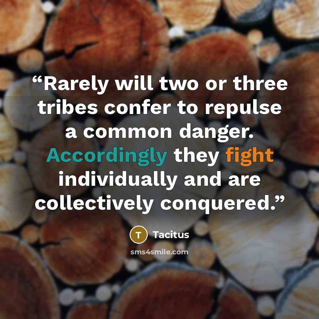 “Rarely will two or three tribes confer to repulse a common danger. Accordingly they fight individually and are collectively conquered.” quote by Tacitus