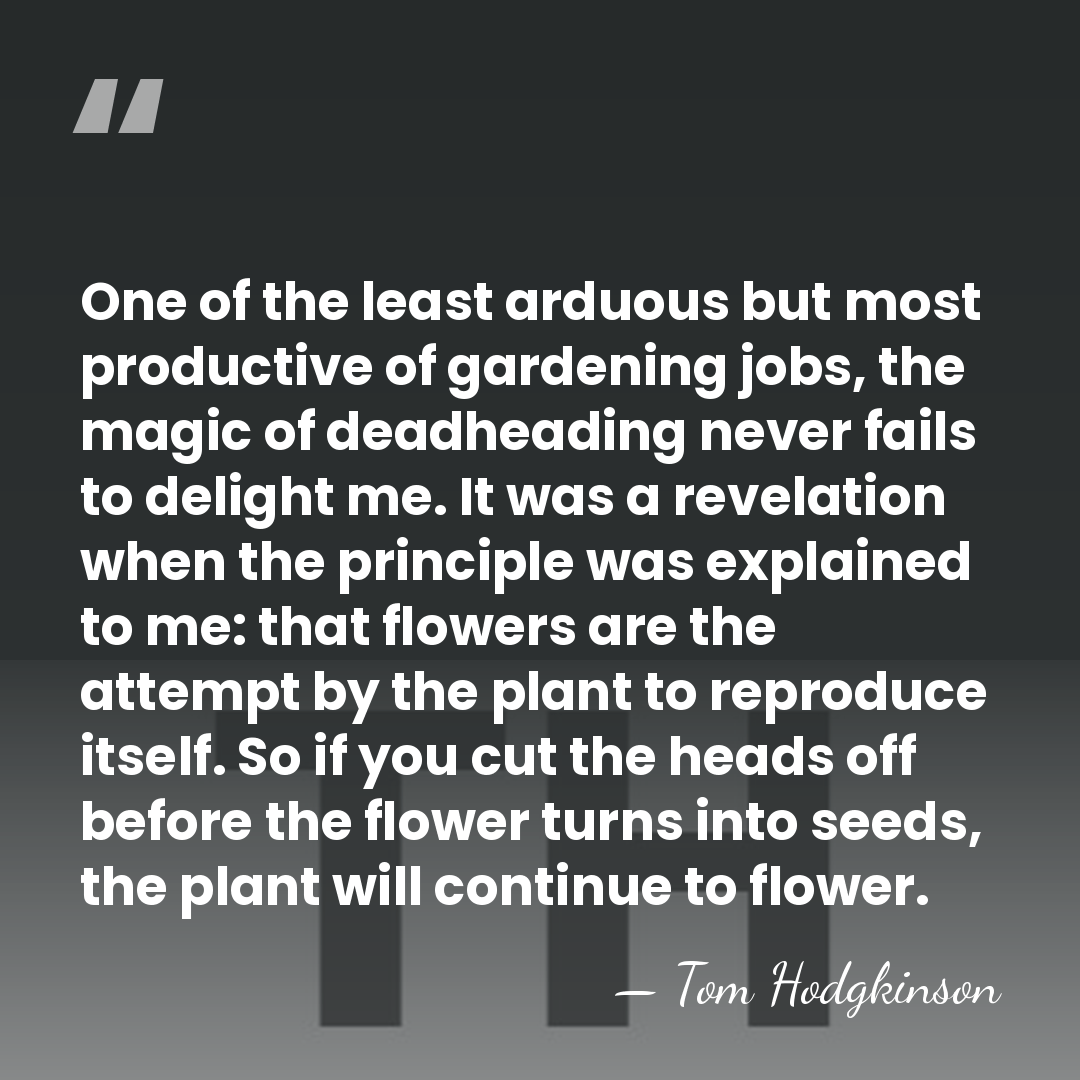 One of the least arduous but most productive of gardening jobs, the&hellip; - Tom Hodgkinson