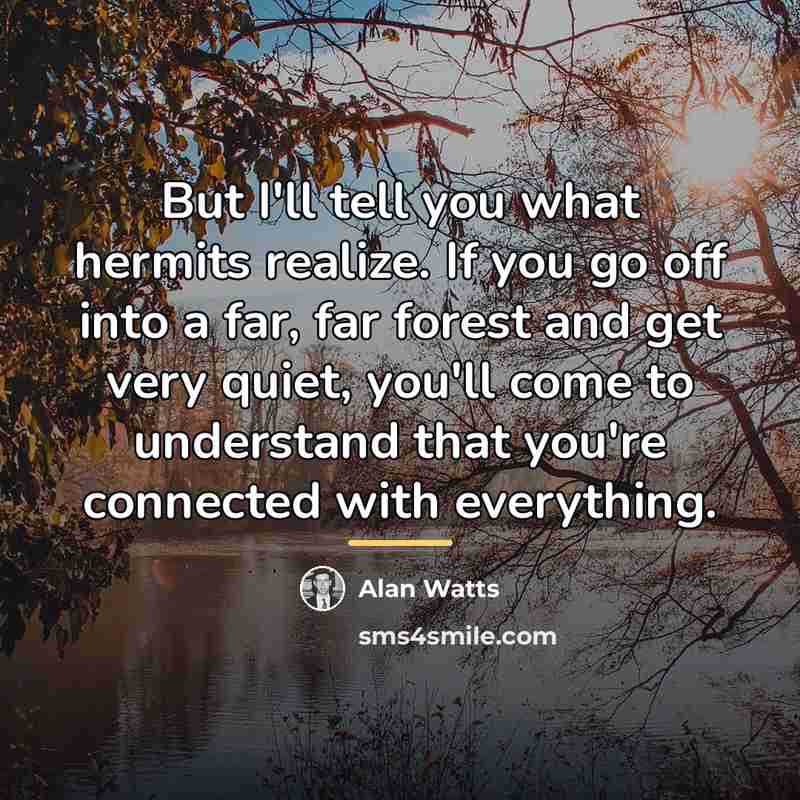 “But I'll tell you what hermits realize. If you go…” quote by Alan Watts