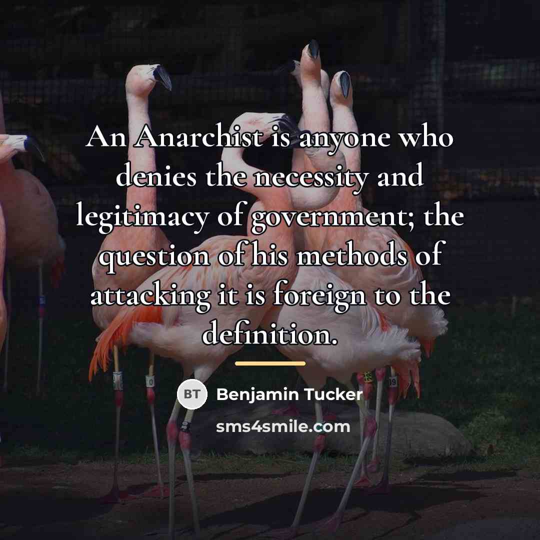 “An Anarchist is anyone who denies the necessity and legitimacy…” quote by Benjamin Tucker