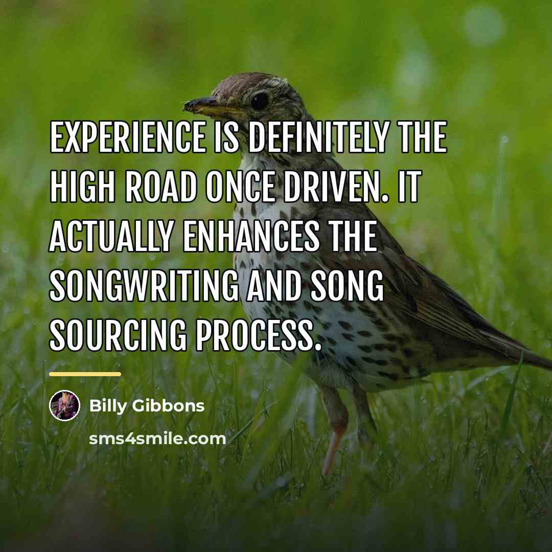 “Experience is definitely the high road once driven. It actually…” quote by Billy Gibbons