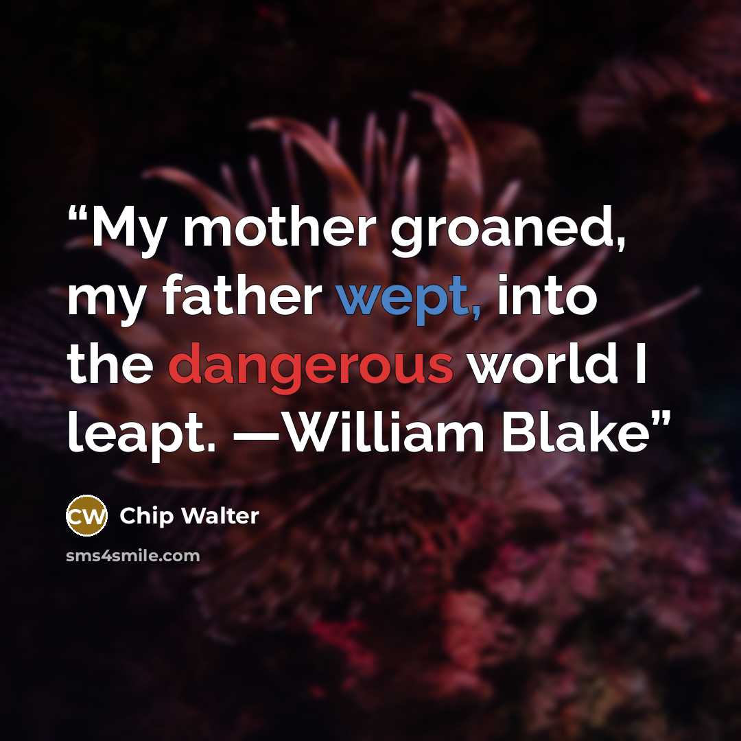 “My mother groaned, my father wept, into the dangerous world I leapt. —William Blake” quote by Chip Walter