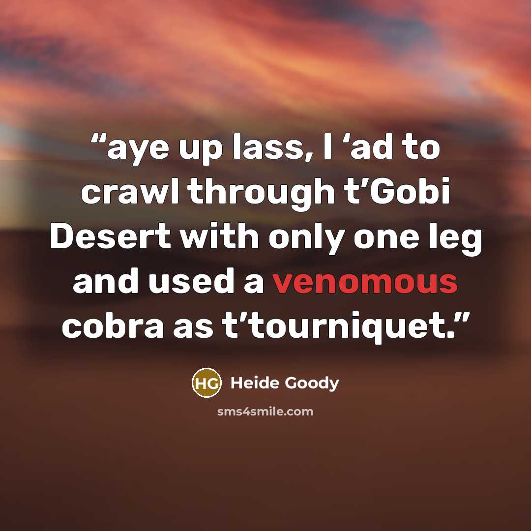 “aye up lass, I ‘ad to crawl through t’Gobi Desert with only one leg and used a venomous cobra as t’tourniquet.” quote by Heide Goody