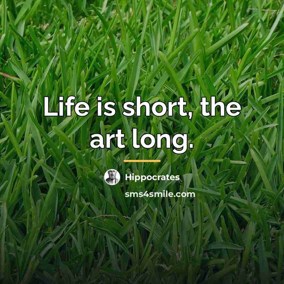 “Life is short, the art long.…” quote by Hippocrates