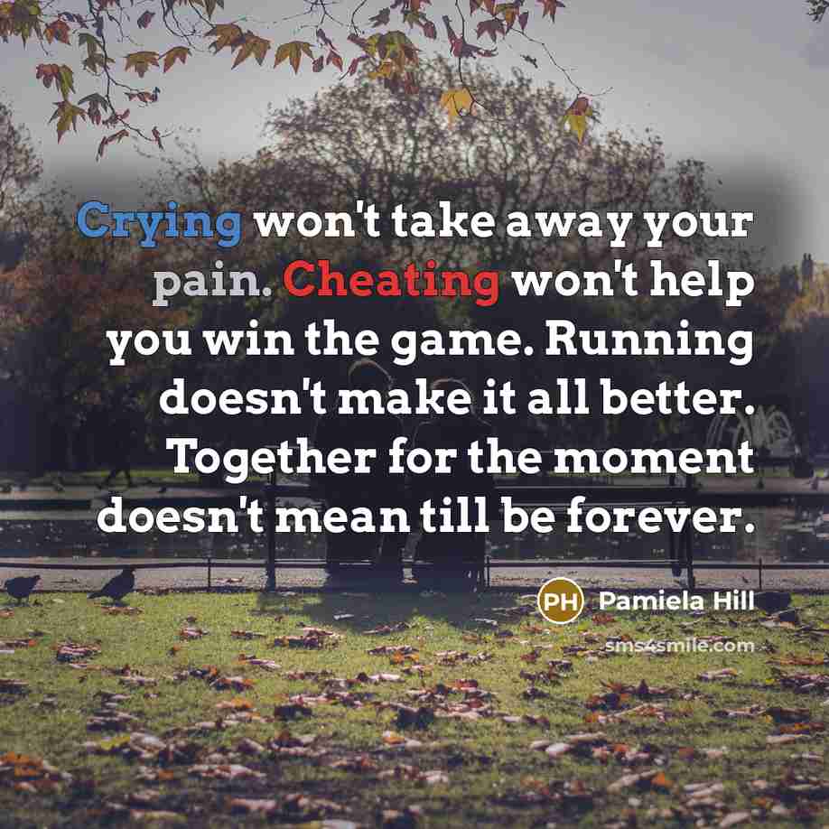 “Crying won't take away your pain. Cheating won't help you…” quote by Pamiela Hill