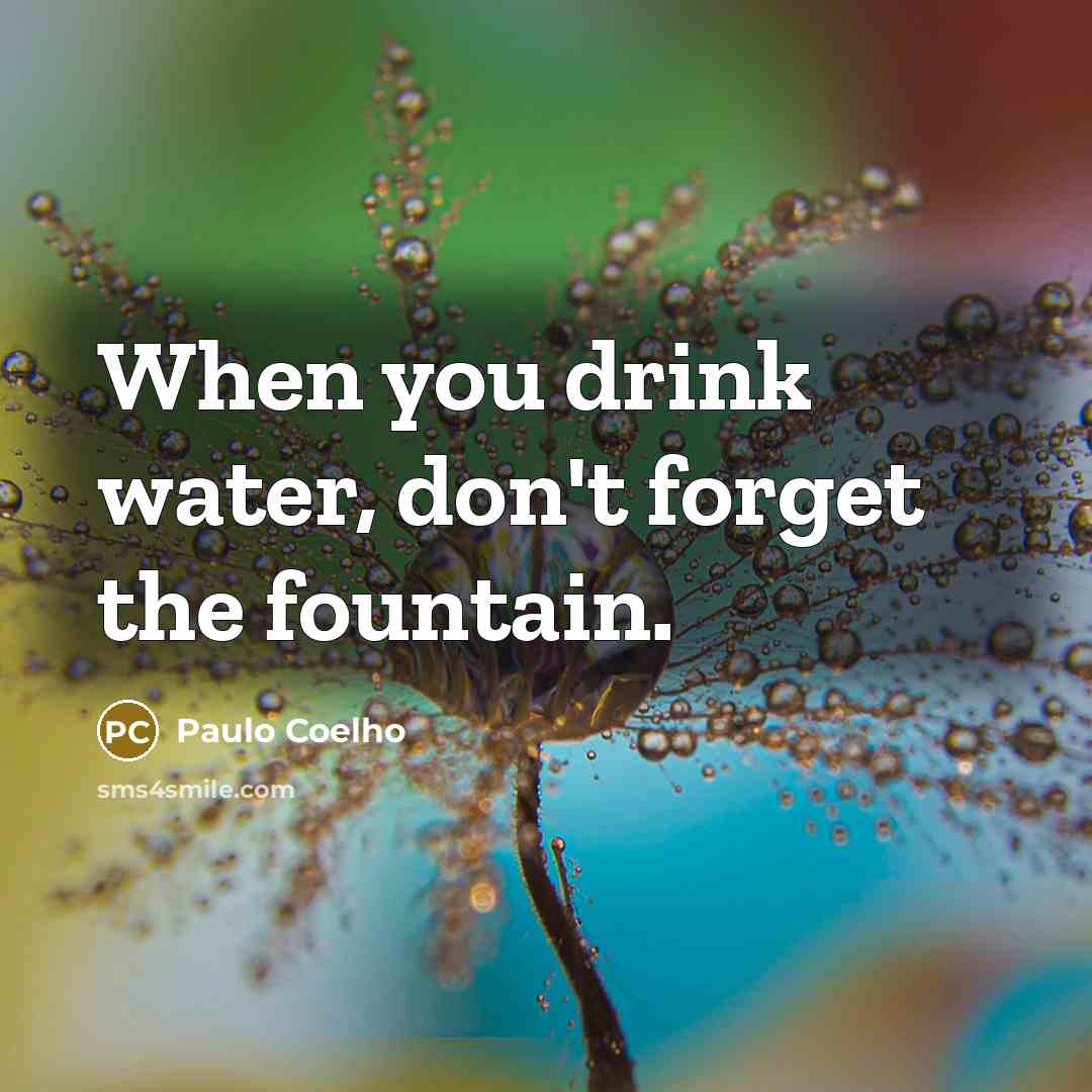 “When you drink water, don't forget the fountain.…” quote by Paulo Coelho