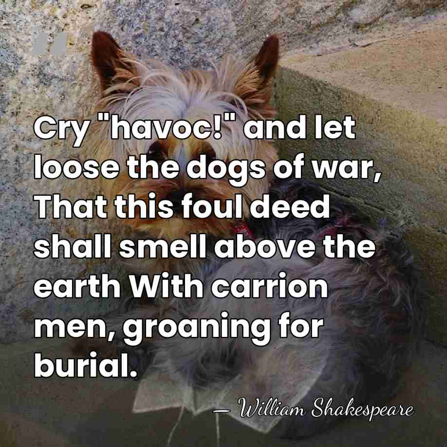 Cry "havoc!" and let loose the dogs of war, That this foul&hellip; - William Shakespeare
