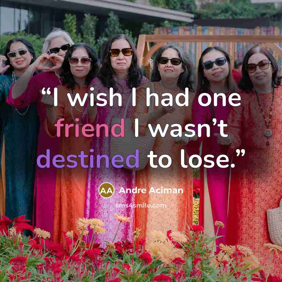 “I wish I had one friend I wasn’t destined to lose.” quote by André Aciman