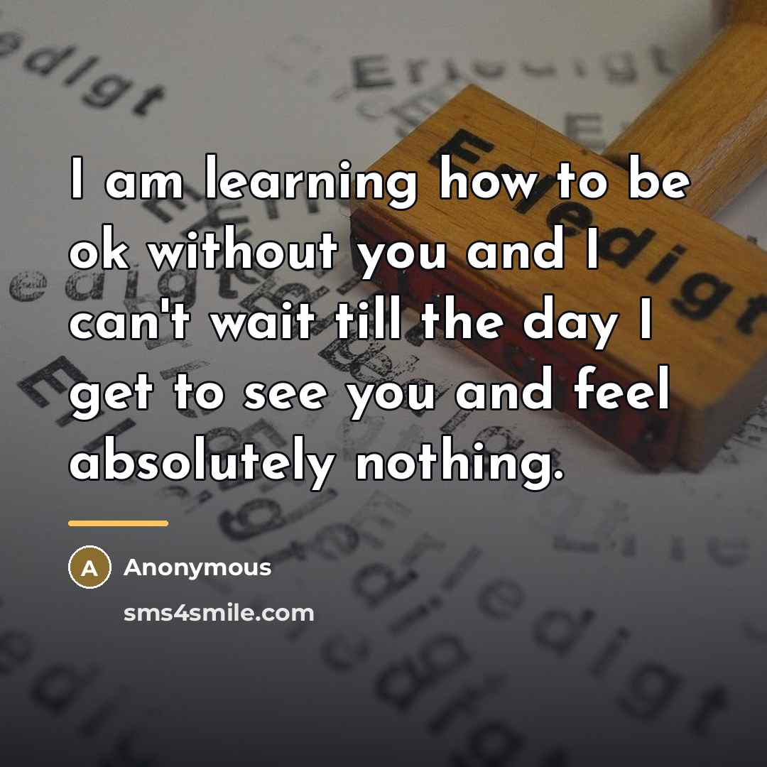 “I am learning how to be ok without you and…” quote by Anonymous