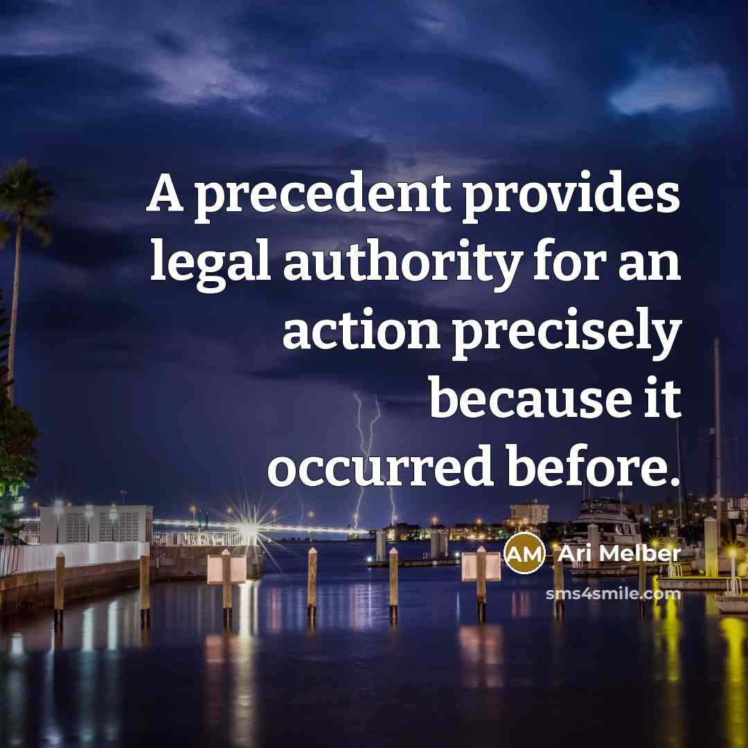 “A precedent provides legal authority for an action precisely because…” quote by Ari Melber