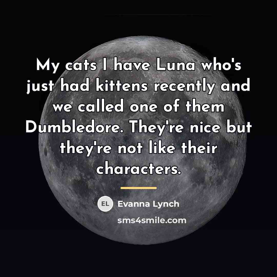 “My cats I have Luna who's just had kittens recently…” quote by Evanna Lynch
