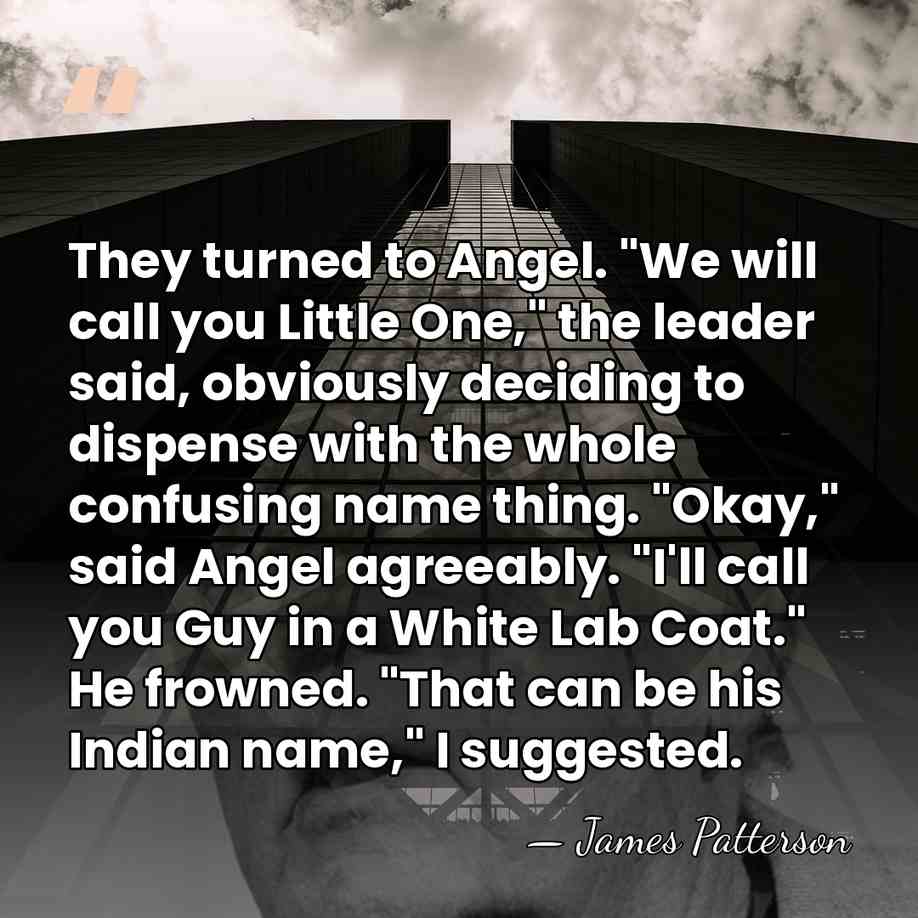 They turned to Angel. "We will call you Little One," the leader&hellip; - James Patterson