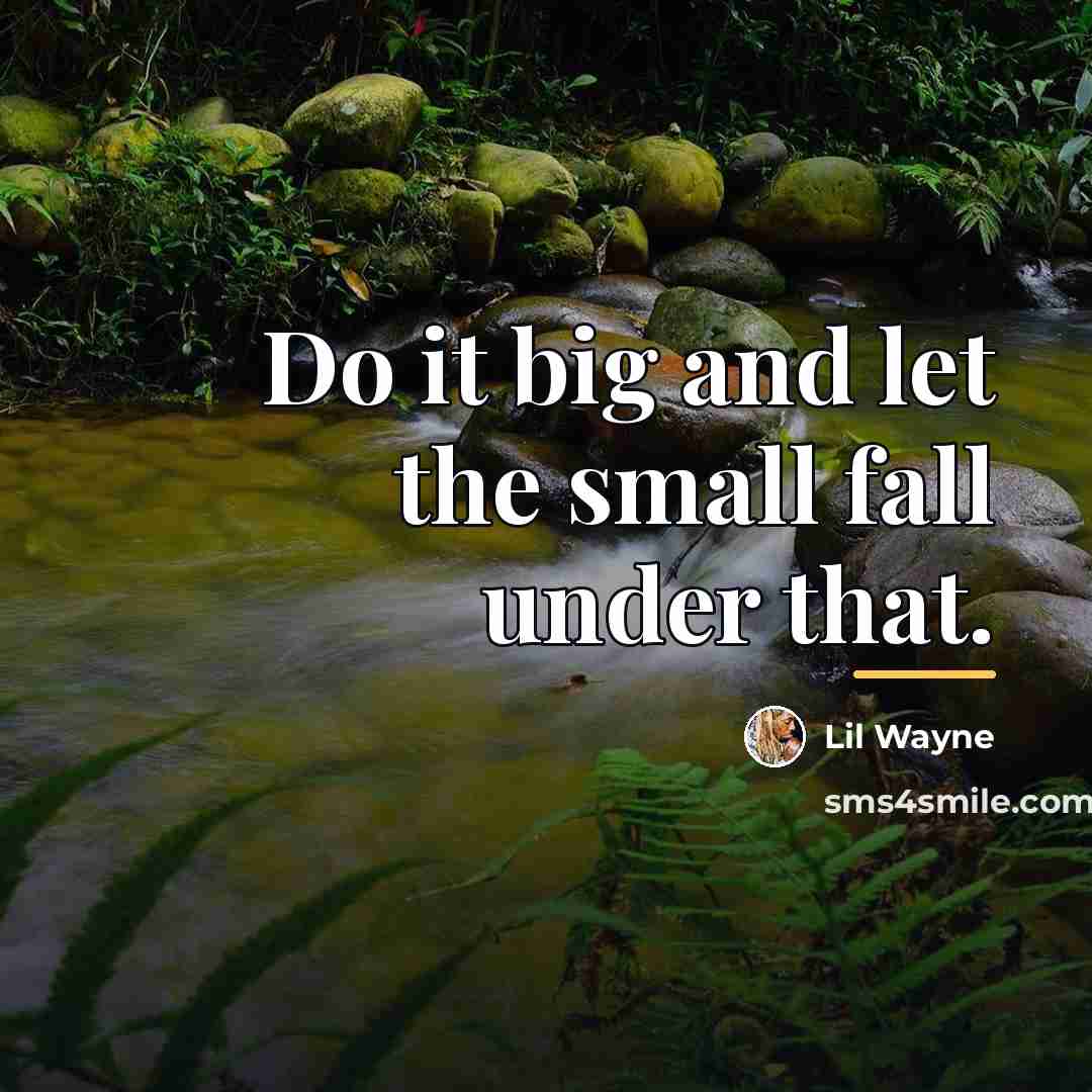 “Do it big and let the small fall under that.…” quote by Lil Wayne