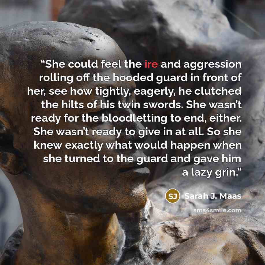 “She could feel the ire and aggression rolling off the hooded guard in front of her, see how tightly, eagerly, he clutched the hilts of his twin swords. She wasn’t ready for the bloodletting to end, either. She wasn’t ready to give in at all. So she knew exactly what would happen when she turned to…” quote by Sarah J. Maas