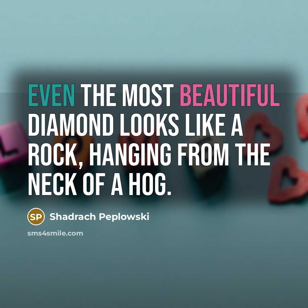 “Even the most beautiful diamond looks like a rock, hanging from the neck of a hog.” quote by Shadrach Peplowski