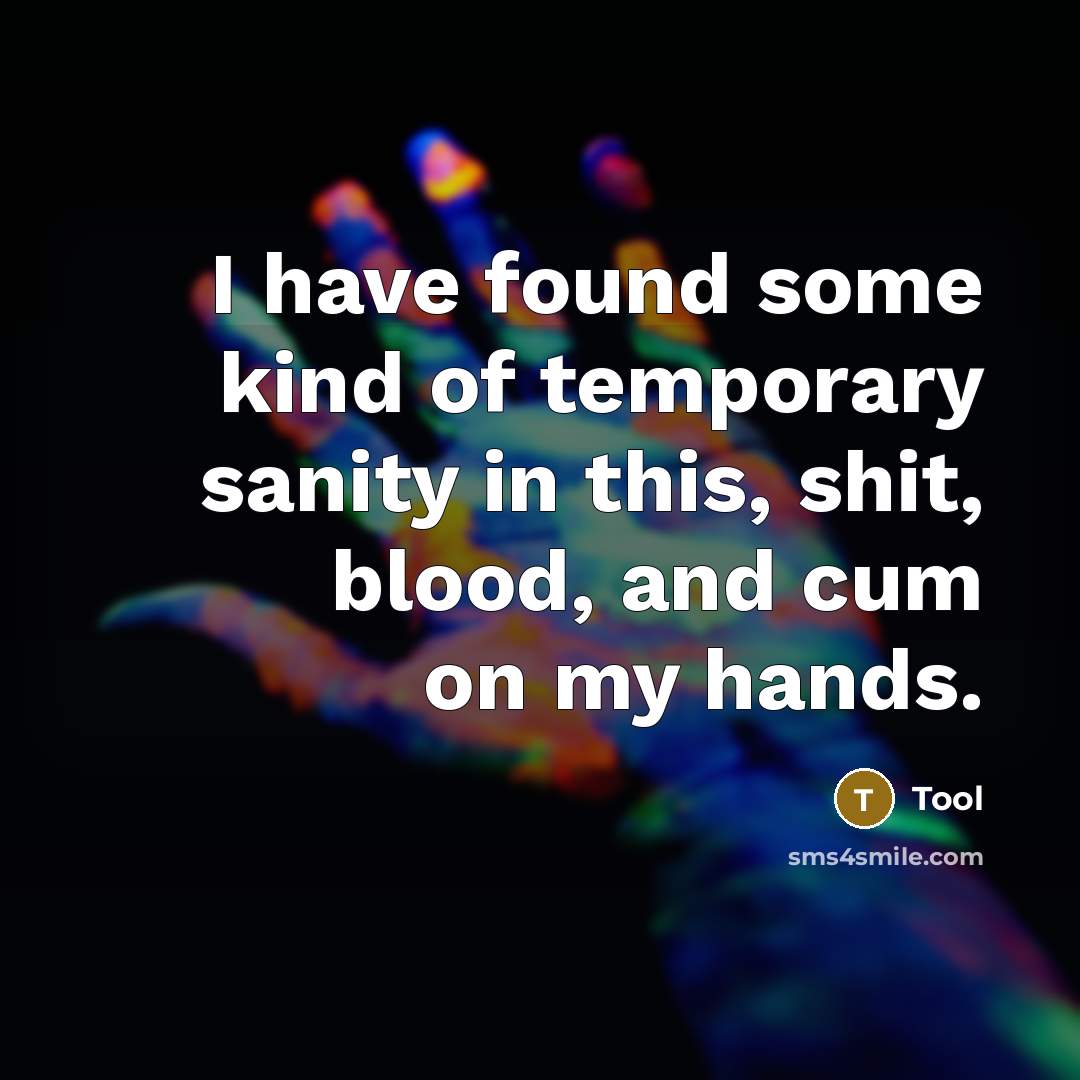 “I have found some kind of temporary sanity in this, shit, blood, and cum on my hands.” quote by Tool