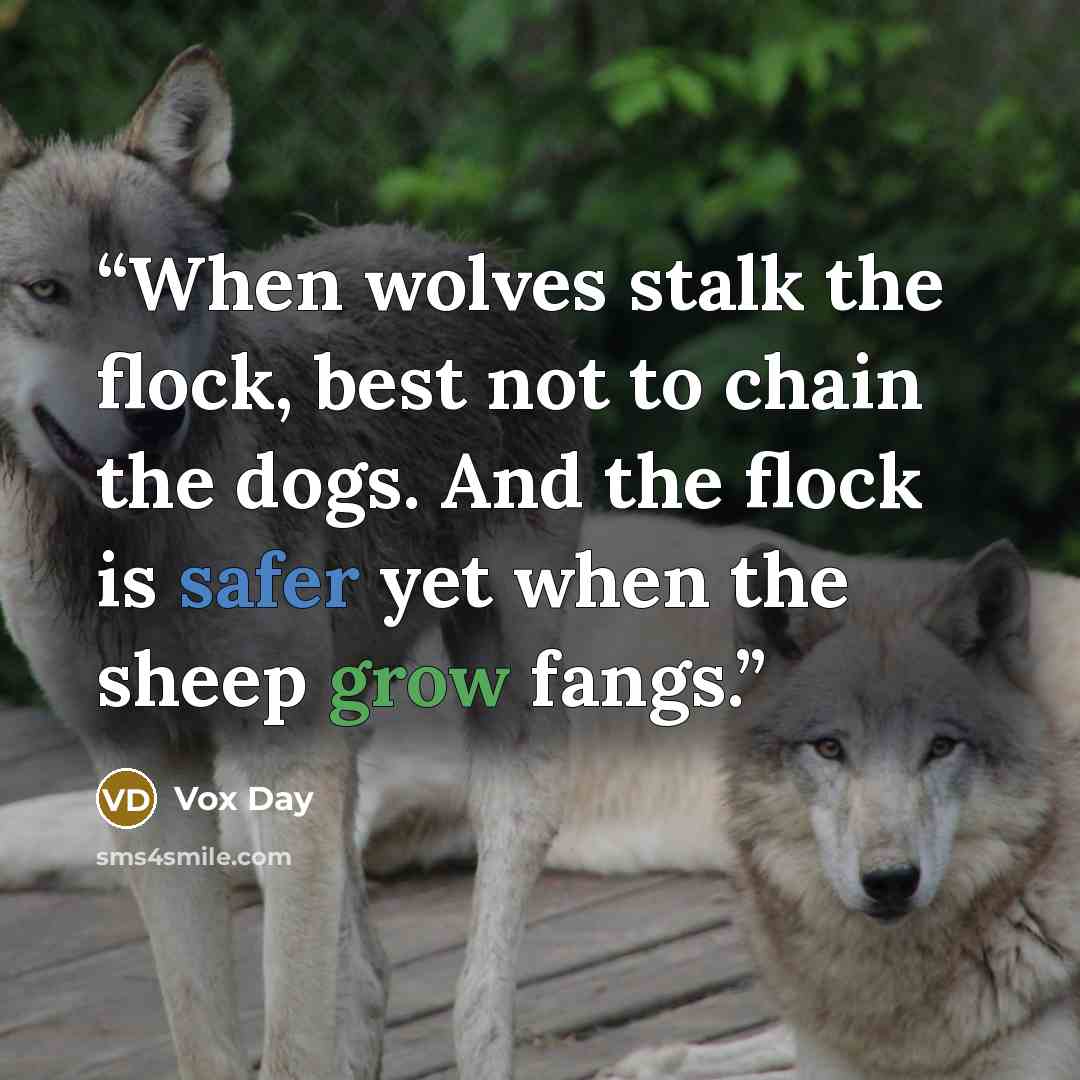 “When wolves stalk the flock, best not to chain the dogs. And the flock is safer yet when the sheep grow fangs.” quote by Vox Day