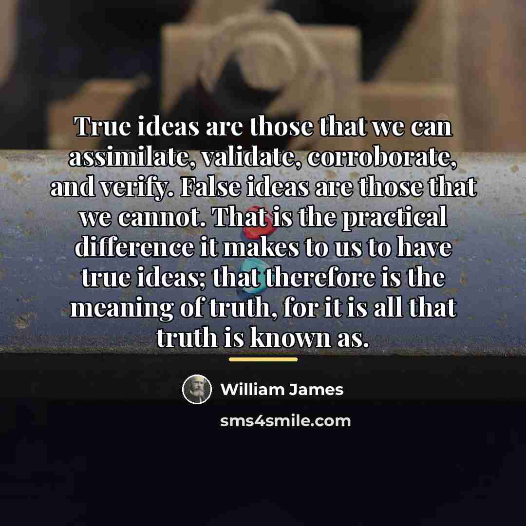 “True ideas are those that we can assimilate, validate, corroborate,…” quote by William James