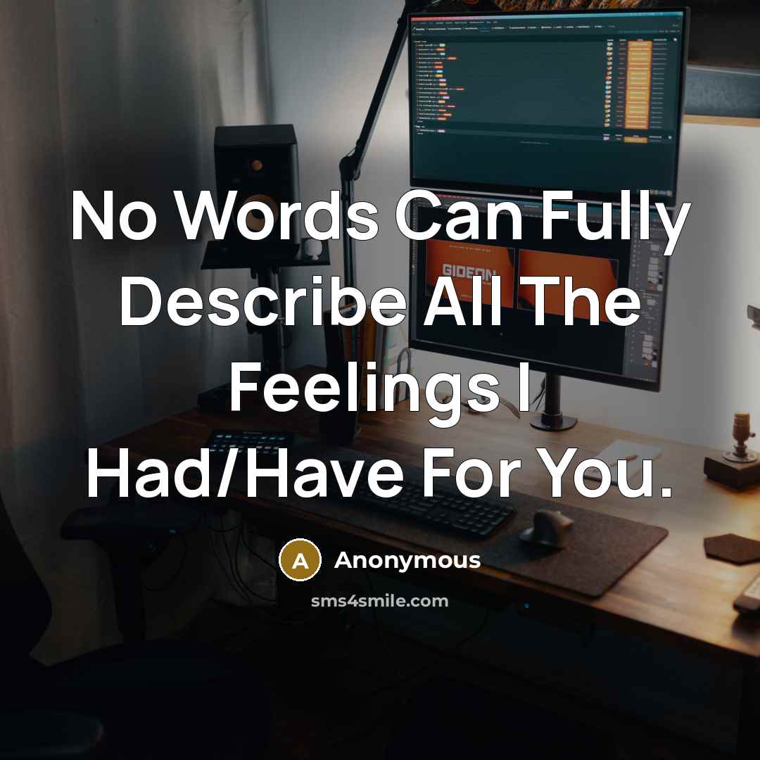 “No Words Can Fully Describe All The Feelings I Had/Have For You.” quote by Anonymous