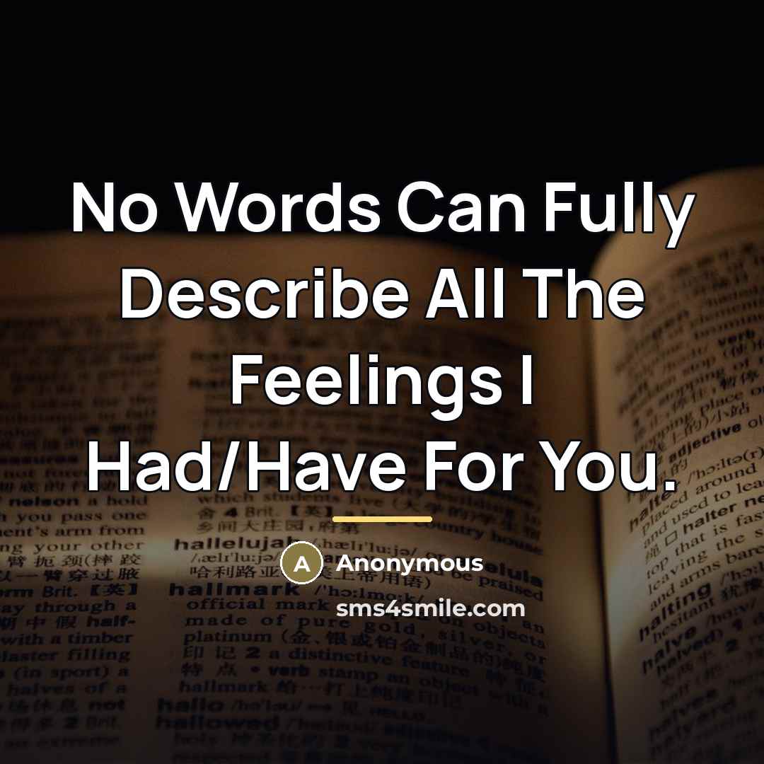 “No Words Can Fully Describe All The Feelings I Had/Have…” quote by Anonymous