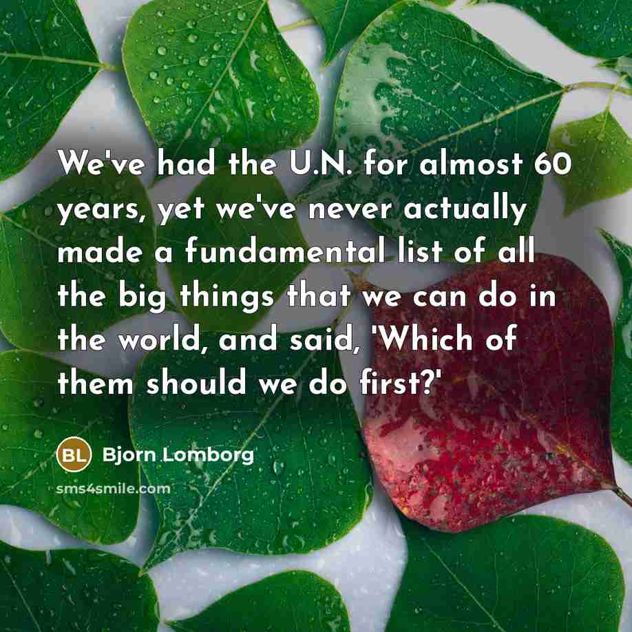 “We've had the U.N. for almost 60 years, yet we've…” quote by Bjorn Lomborg
