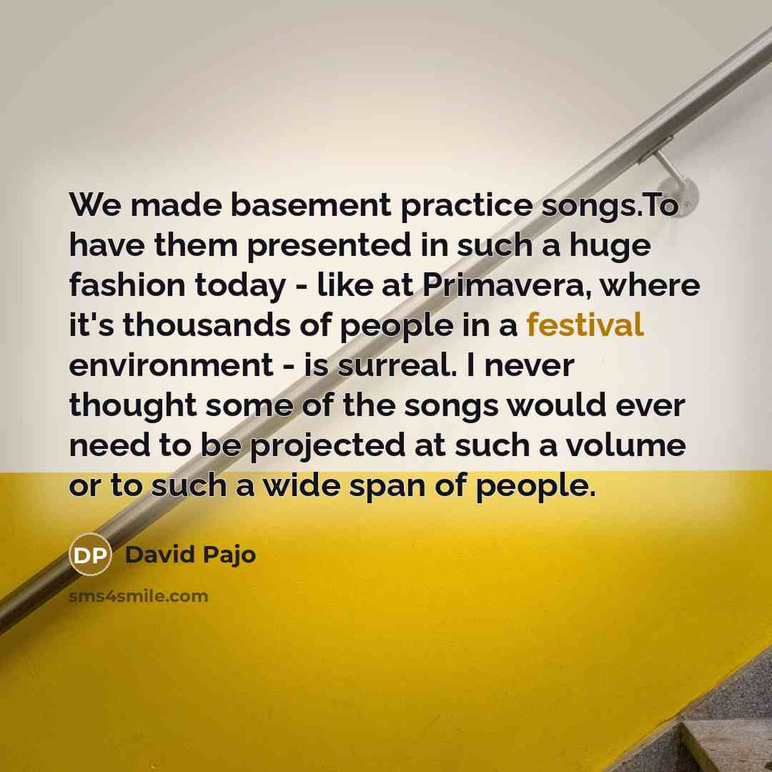 “We made basement practice songs.To have them presented in such…” quote by David Pajo