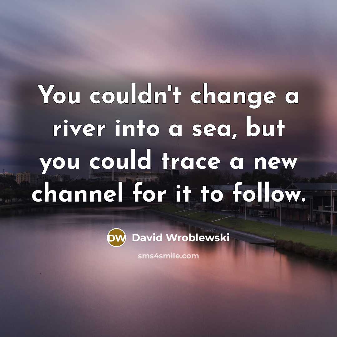 “You couldn't change a river into a sea, but you could trace a new channel for it to follow.” quote by David Wroblewski