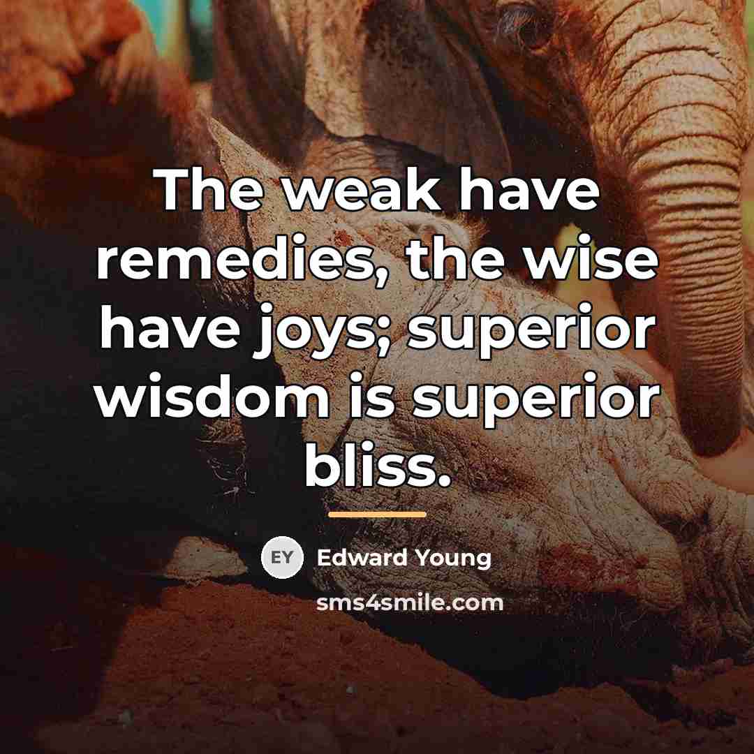 “The weak have remedies, the wise have joys; superior wisdom…” quote by Edward Young