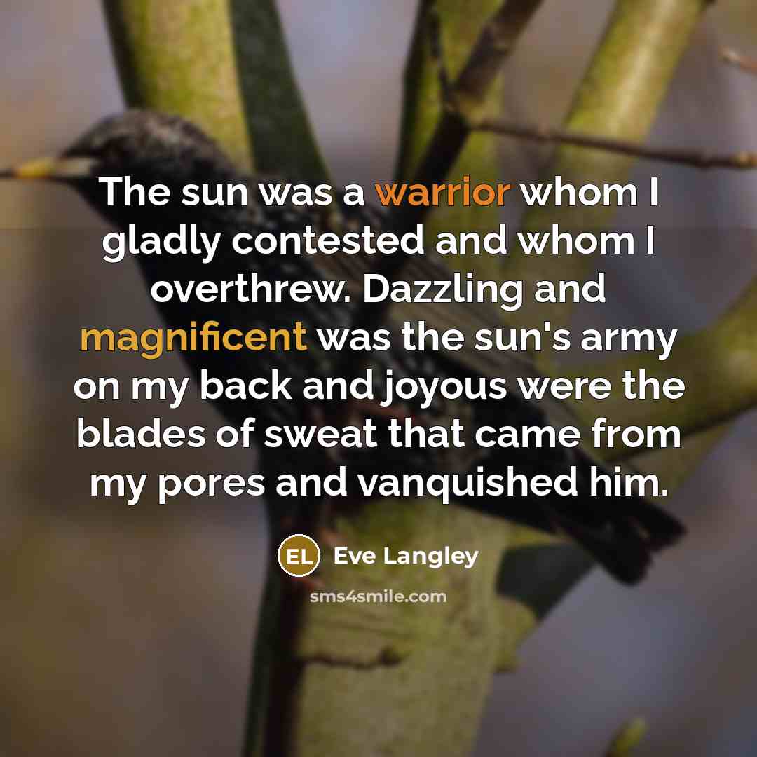 “The sun was a warrior whom I gladly contested and…” quote by Eve Langley
