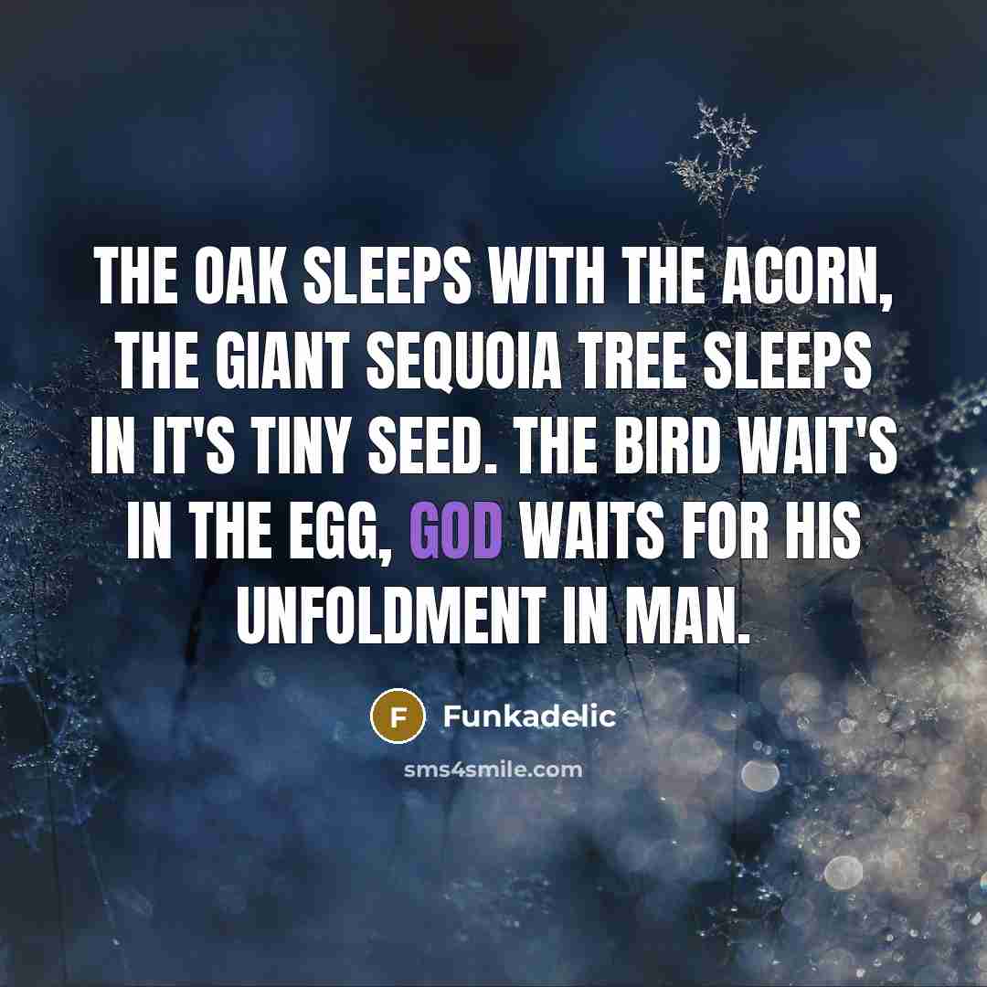 “The oak sleeps with the acorn, the giant sequoia tree sleeps in it's tiny seed. The bird wait's in the egg, God waits for his unfoldment in man.” quote by Funkadelic