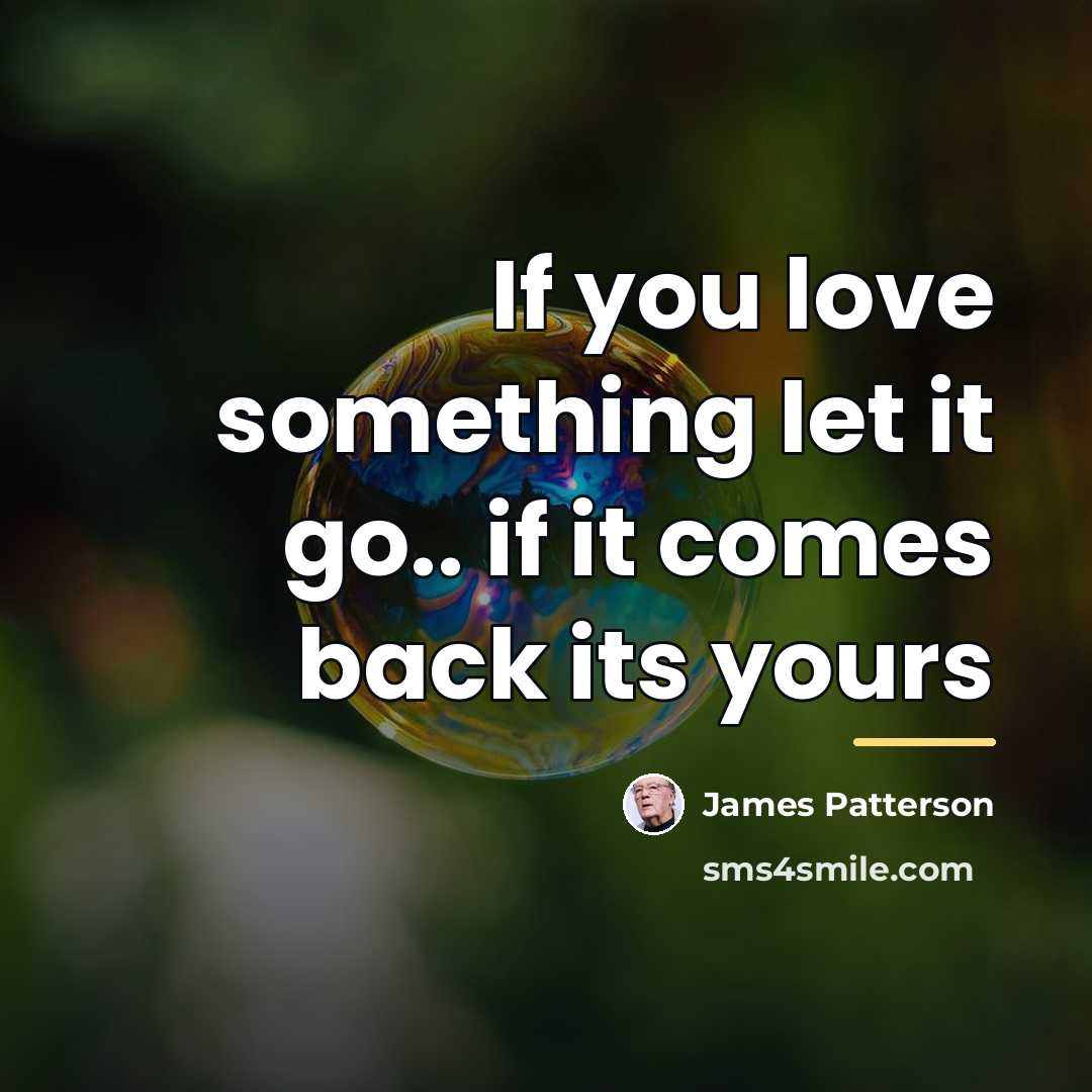 “If you love something let it go.. if it comes…” quote by James Patterson