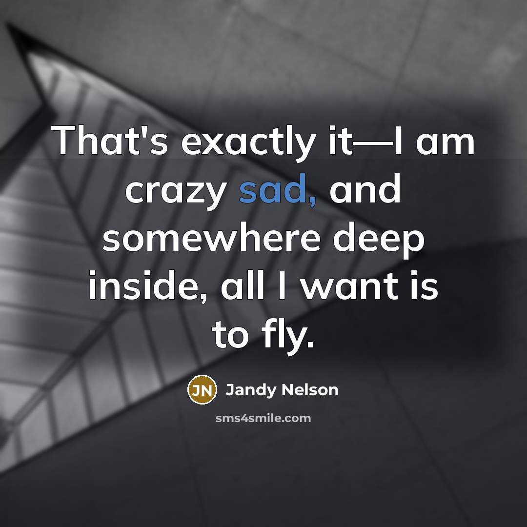“That's exactly it—I am crazy sad, and somewhere deep inside,…” quote by Jandy Nelson