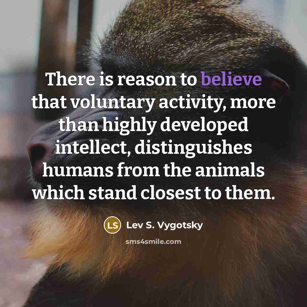 “There is reason to believe that voluntary activity, more than…” quote by Lev S. Vygotsky