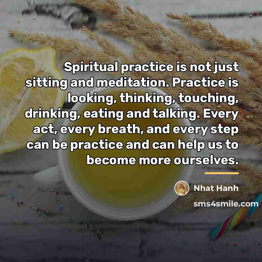 “Spiritual practice is not just sitting and meditation. Practice is…” quote by Nhat Hanh