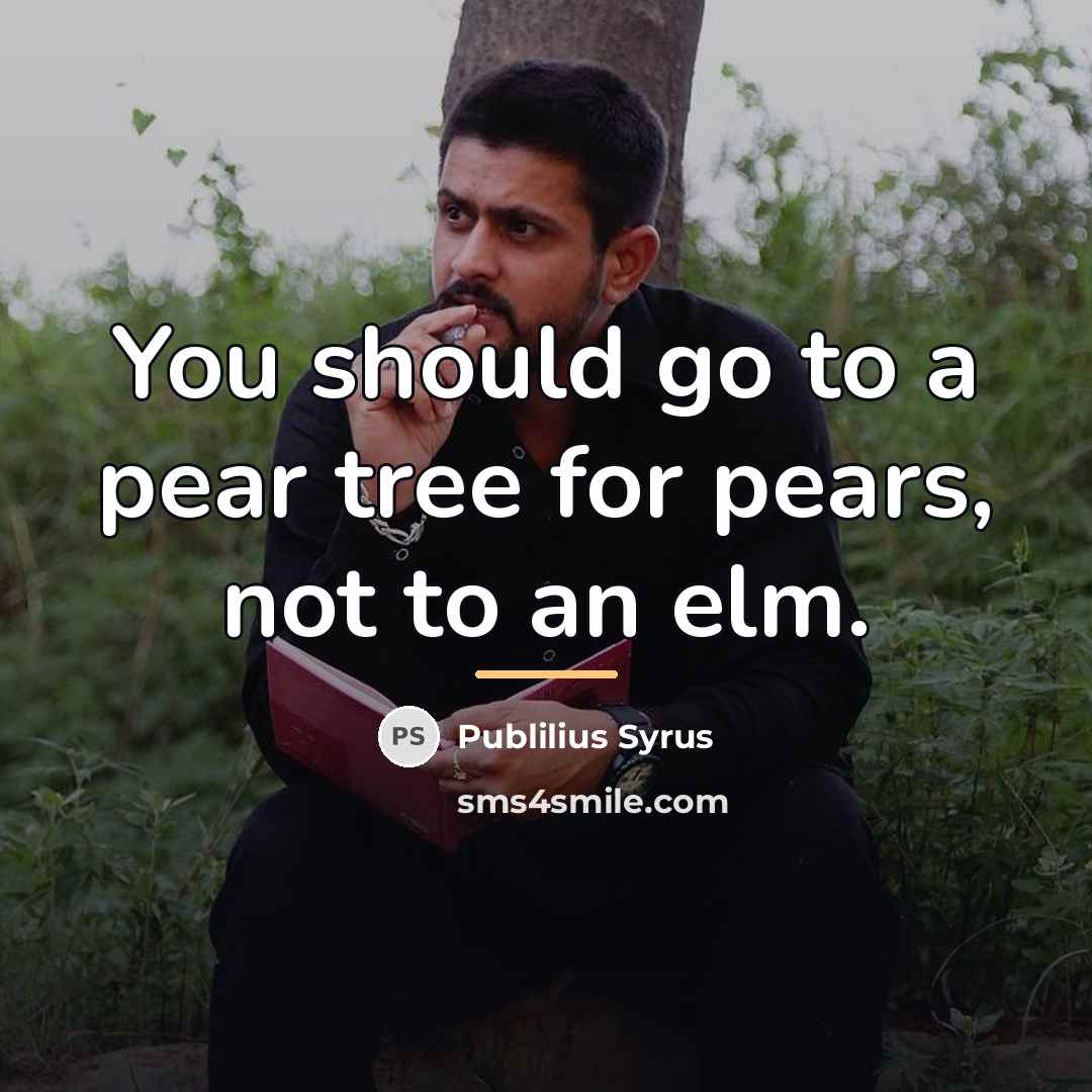 “You should go to a pear tree for pears, not…” quote by Publilius Syrus