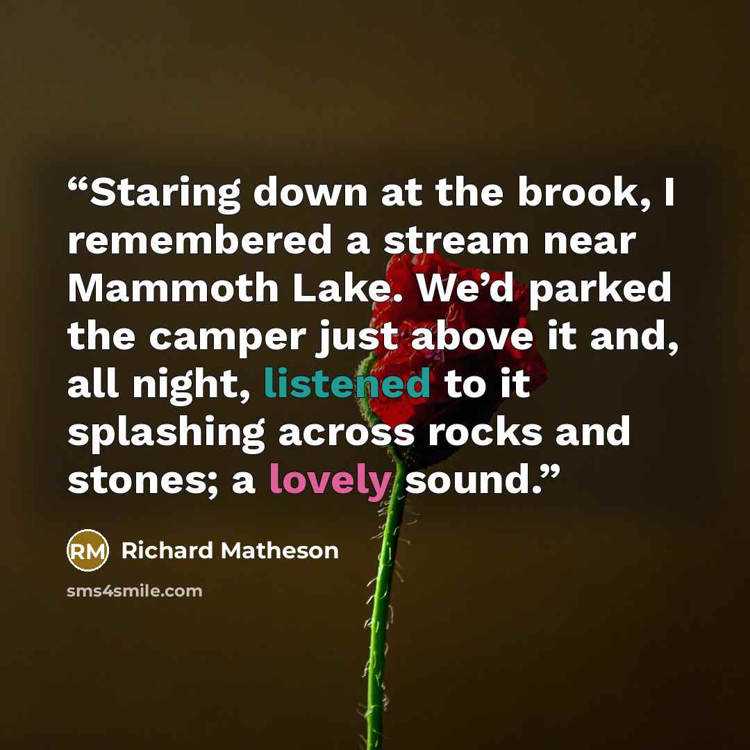 “Staring down at the brook, I remembered a stream near Mammoth Lake. We’d parked the camper just above it and, all night, listened to it splashing across rocks and stones; a lovely sound.” quote by Richard Matheson