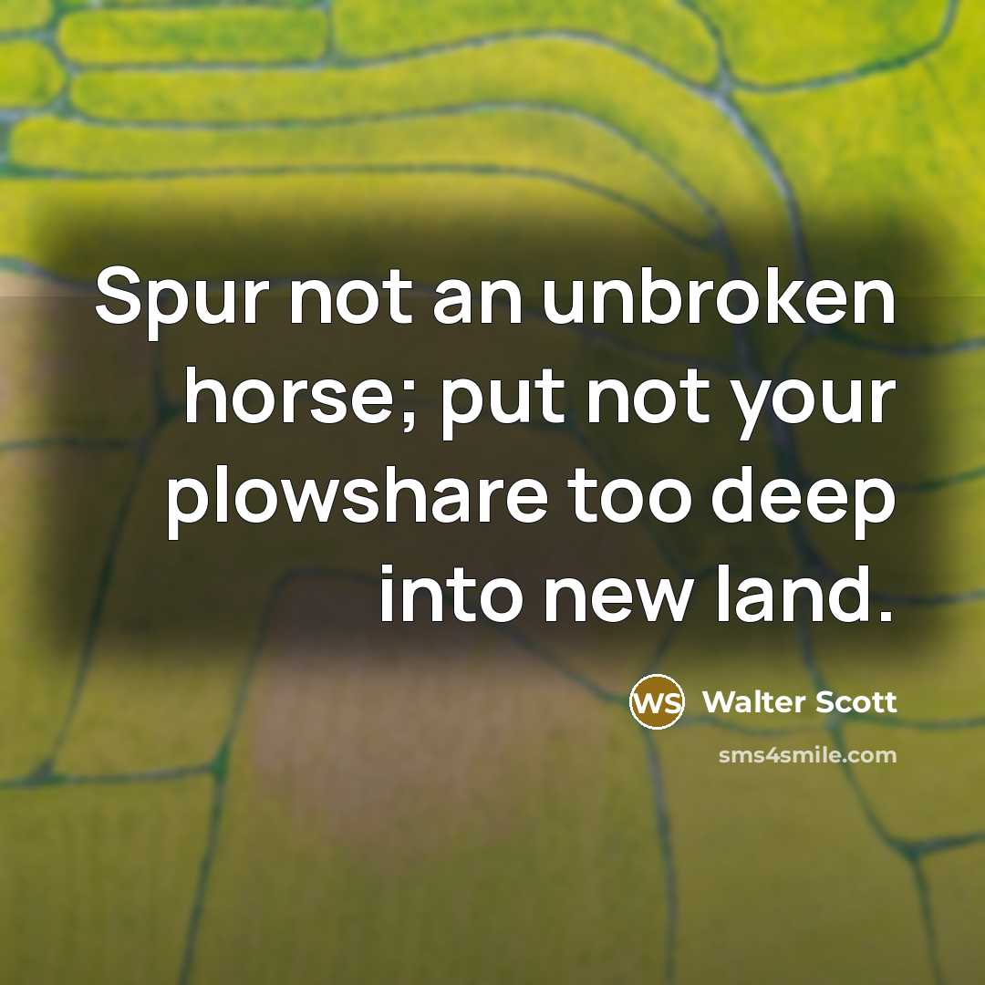 “Spur not an unbroken horse; put not your plowshare too…” quote by Walter Scott