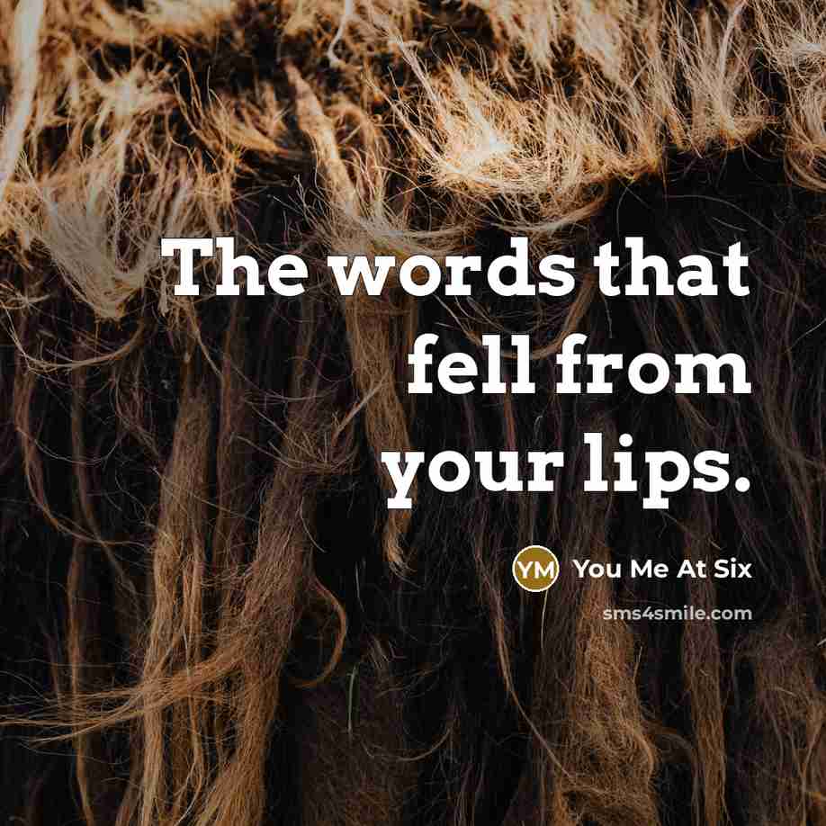 “The words that fell from your lips.…” quote by You Me At Six