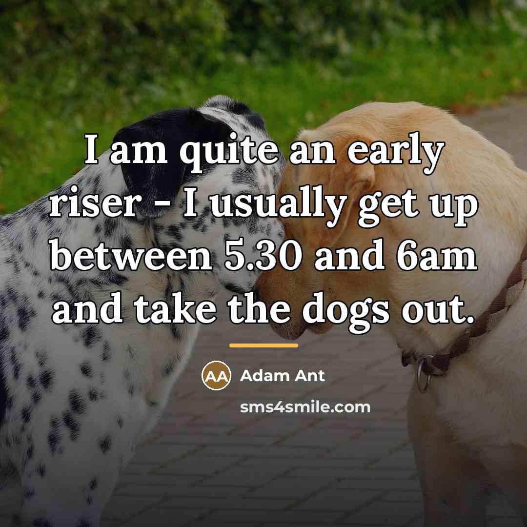 “I am quite an early riser - I usually get…” quote by Adam Ant