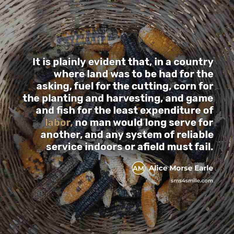 “It is plainly evident that, in a country where land…” quote by Alice Morse Earle