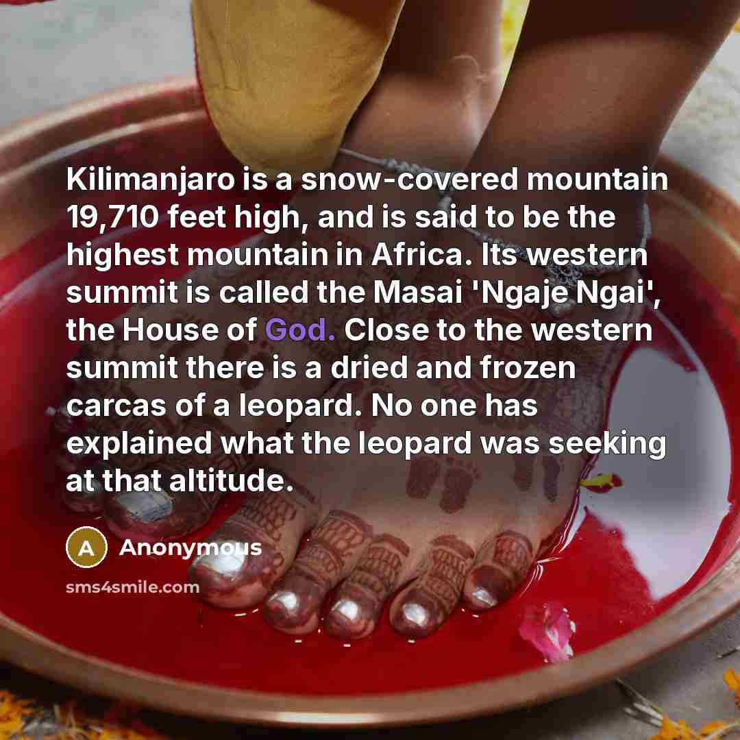 “Kilimanjaro is a snow-covered mountain 19,710 feet high, and is…” quote by Anonymous