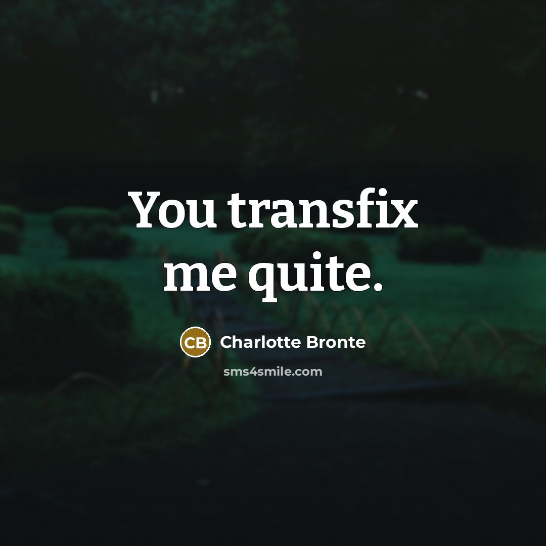 “You transfix me quite.…” quote by Charlotte Bronte