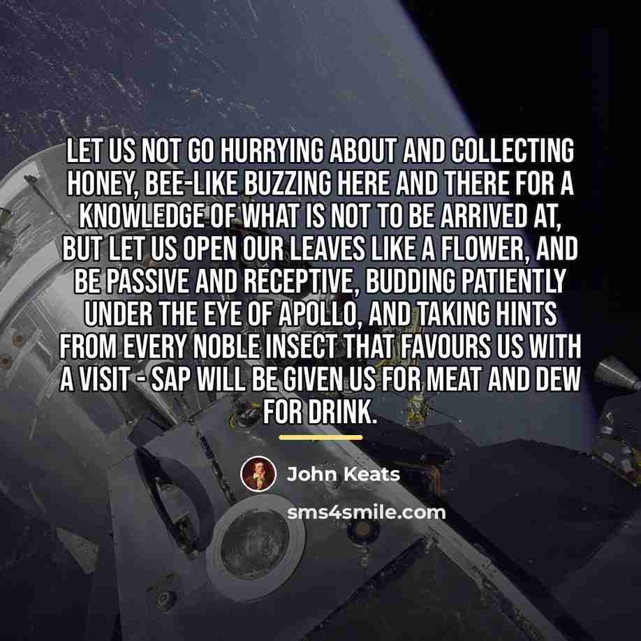 “Let us not go hurrying about and collecting honey, bee-like…” quote by John Keats